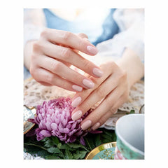 PRIM-ROSE AND PROPER