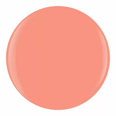 Young, Wild & Freesia