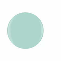 MINT CHOCOLATE CHIP
